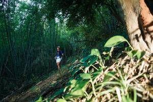 BIB: 
                            <button type="button" onclick="openModal(28123427)" class="btn btn-primary btn-sm float-right btn-popup" data-toggle="modal" data-target=".modal-high-quality">
                        <i class="fas fa-shopping-cart"></i> Add to Cart
                    </button>
                                            <button type="button" onclick="isThisMe(28123427, true)" class="btn btn-success btn-sm float-right btn-popup btn-isme hidden" data-toggle="tooltip" data-placement="bottom" title="นี่คือรูปของคุณใช่ไหม คลิกที่นี่เพื่อเอาเข้าอัลบั้ม">
                        <i class="fas fa-plus"></i> Add to album
                    </button>
                    <button type="button" onclick="isThisMe(28123427, false)" class="btn btn-warning btn-sm float-right btn-popup btn-isnotme hidden">
                        <i class="fas fa-ban"></i> Remove from album
                    </button>